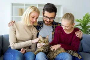 Maintaining a Healthy Feline Body with Weight Management Cat Food
