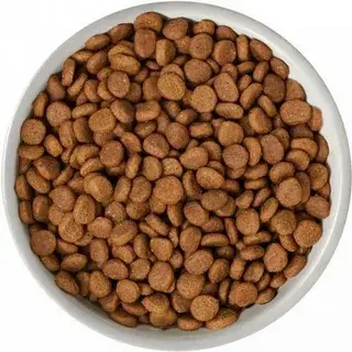 Bowl filled with crunchy brown pellets of natural cat food.