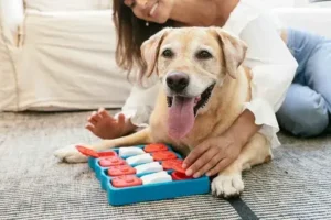 The Health and Mood Boosting Benefits of Pets: How Animals Improve Our Wellbeing