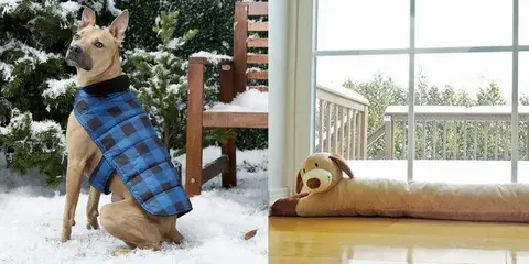 Puppy wearing a warm plaid coat outside in the snow and a cozy dog-shaped bed inside How To Protect Your Puppy This Winter.