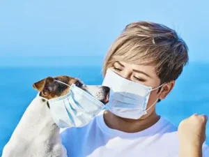 Is Carrageenan Dangerous For Pets? What Every Pet Owner Should Know