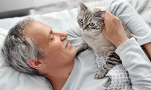The Joys of Owning a Cat: Benefits of Having a Feline Companion
