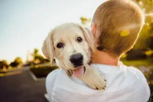Why Animals Are Good for Your Health: How Pets Can Make You Feel Better