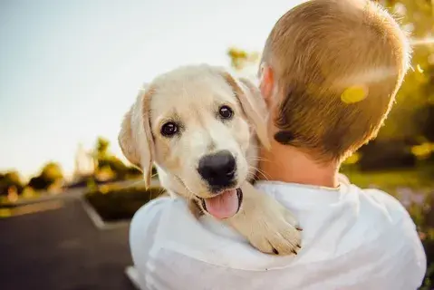 Why animals are good for your health – happy dog cuddling with owner outdoors