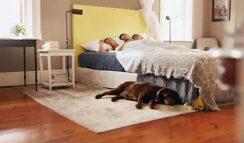 A couple sleeping in bed while their dog lies on the floor beside them, peacefully sleeping on a rug near the bed.