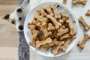 Healthy Snacks for Dogs on the Go: A Complete Guide