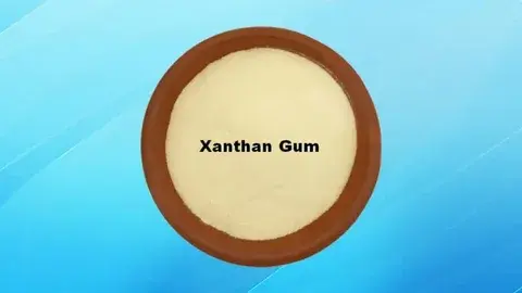 Is Xanthan Gum Bad For My Dog? A Detailed Look at Xanthan Gum in Dog Food